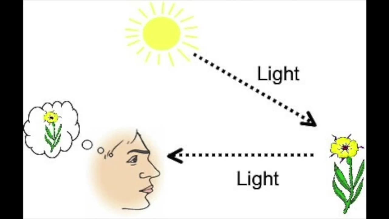 How can we. How we see. Light reflection. Light from Eyes. See Eye to Eye.