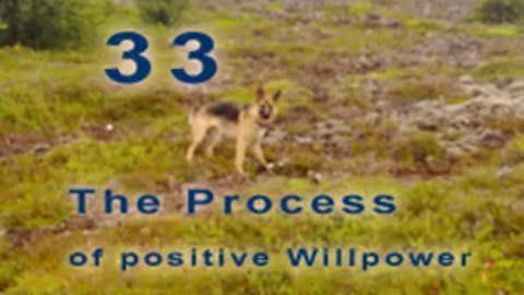 The Positive Process - Chapter 33. Personal plaster