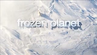 Frozen Planet: Vegetarian Polar Bears
