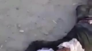 Stunning Video: People Dead on Kandahar Streets After Violent Taliban Takeover