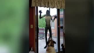 FUNNY Dogs Scared of Halloween $$$