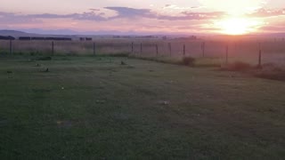 Fun on the Farm - Beautiful sunset after a hot summer's day