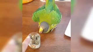 Parrot doesn't want to share his food