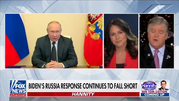 Youre Ducking Sean Hannity Spars With Tulsi Gabbard Over Assisting Ukraine 