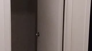 Hallway scare