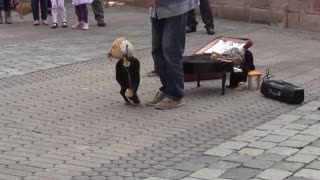 Funny marionette street performer in Nuremburg