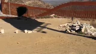 Border Report in Tijuana