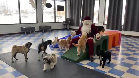 Santa Visits the Littles!