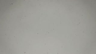 Winter falling snowflakes in slow mo