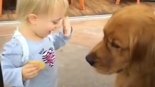 funniest baby plays againt dog