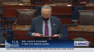 Senate Majority Leader Chuck Schumer speaks on the floor