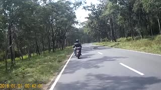 Riders Pass Leopard on the Road