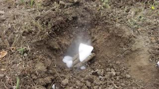 Killing a Yellow Jacket Nest With Dry Ice!
