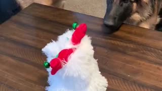 Dogs Mesmerized by Mechanical Puppy