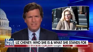 Tucker Carlson TORCHES Liz Cheney