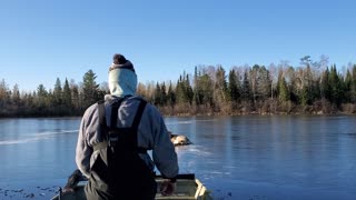 Rescuing a Deer from a Frozen Lake