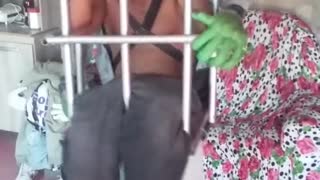 Frankenstein's Monster Carries a Man in a Cage