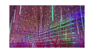 Christmas Lights Meteor Shower for Holiday Party Wedding Christmas Tree
