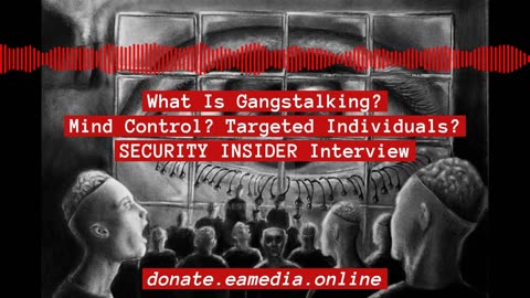What Is Gangstalking? ... Interview With Security Insider