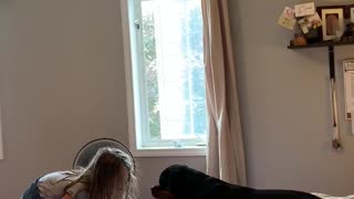 Sweet pup says "I love you" to little girl