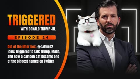 Pro-Trump Twitter Icon Catturd Comes Out of the Litter Box for an Exclusive Interview | Ep. 24