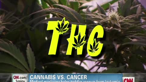 weed v. cancer