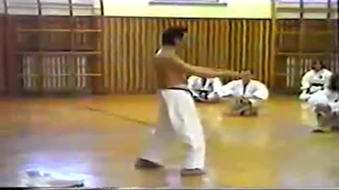 Karate | Okinawan Goju-ryu | Jundokan Gashukku with master Yasuda Tetsunoke