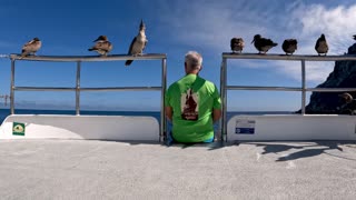 Red Footed Booby Flock Join Tourist For Sightseeing In Remote Galapagos Islands
