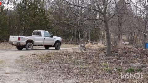 Canadian entrepreneur running his pickup truck on fuel that costs 25¢/L