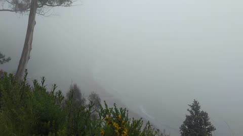 Enjoy some morning fog at New Brighton State Beach