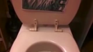 Toilet Makes Strange yet Very Familiar Sound