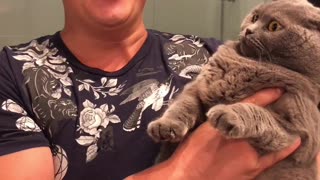Cat Swoons for Sweet Singing