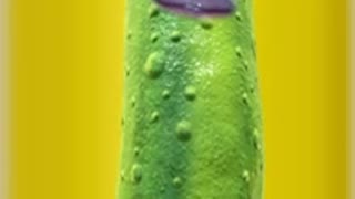 I'm a pickle Morty