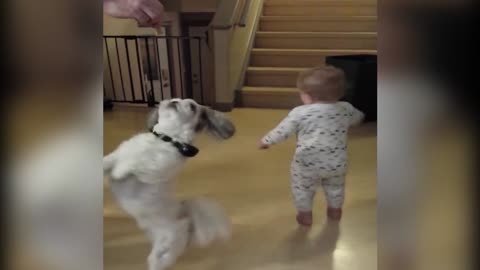 Adorable Baby And Puppy Go For A Spin To Get Snacks