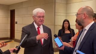 Newt Gingrich Tells NBC Reporter ‘I Think You Have a Learning Disability’