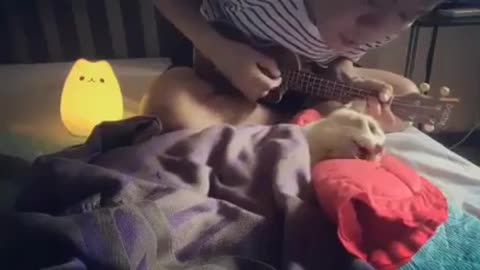 Este hombre le canta una última canción a su gato antes de morir