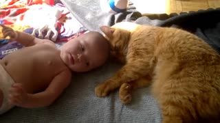 Cat attacks Baby
