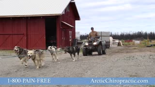 Arctic Chiropractic Testimonial
