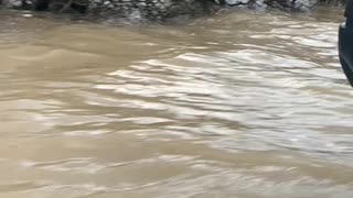 Honda crv floods
