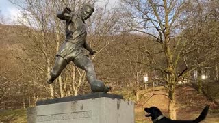 Dog sees statue of man kicking soccer ball, waits to chase after it