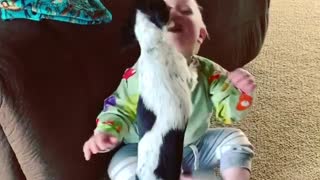 This sweet puppy can't stop giving his baby best friend kisses