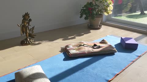 Hatha with Harry - Beginner's yoga 6.1: Sun Salutation preparation