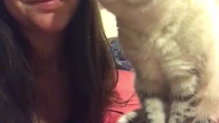 Crazy Eyed Kitty Wants Kisses