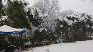 Snow in Texas | 2021