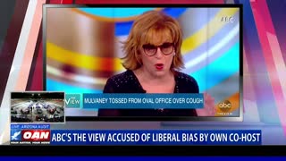 ABC's "The View" accused of liberal bias by own co-host
