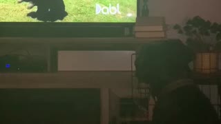 Fred loves tv