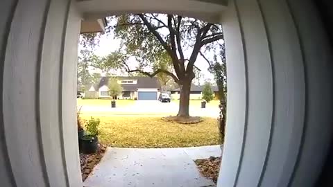 Porch pirate has a wardrobe malfunction as she steals package