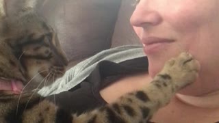 Cat Gives the Gentlest of Boops