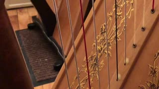 Cat Plays The Harp