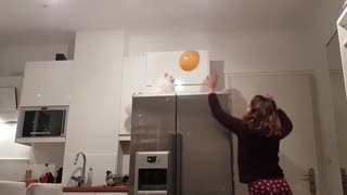 Cat plays balloon volleyball with her owner